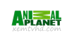 Kênh Animal - Thế giới động vật