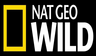 Kênh NATGEOWILD - Thế giới động vật